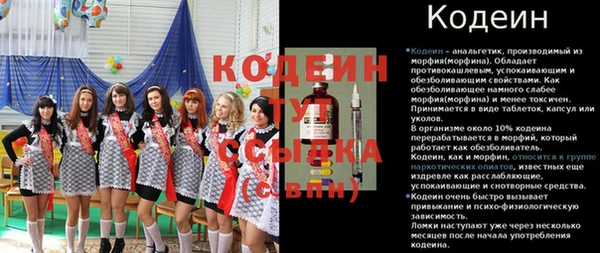 таблы Бородино