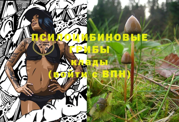 первитин Бугульма
